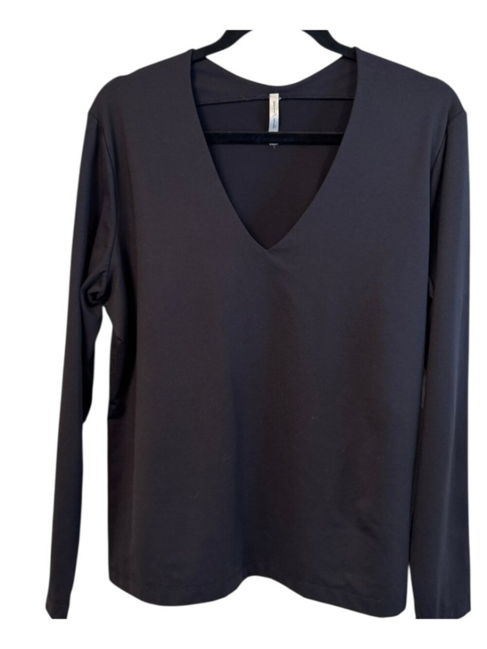 Black Long Sleeve V-Neck Top